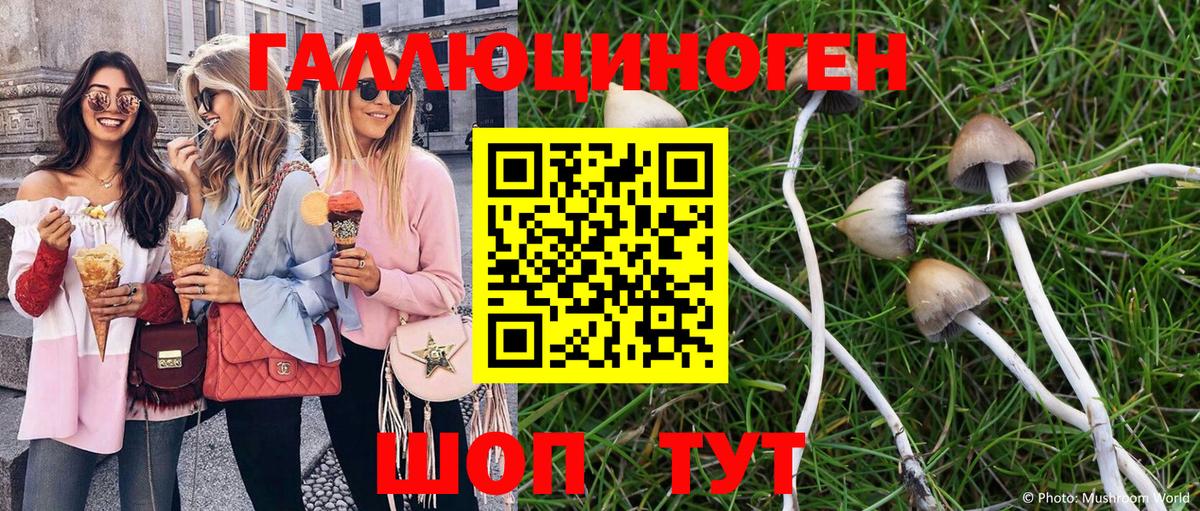 Галлюциногенные грибы MAGIC MUSHROOMS  Галлюциногенные грибы мицелий  Вход с VPN  сколько стоит  Зеленодольск 